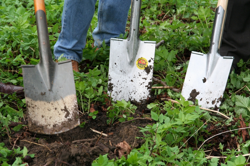 pepiniere-LA ROQUETTE SUR SIAGNE-min_work-lawn-flower-tool-green-backyard-1103633-pxhere.com